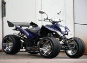 Квадроцикл Yamaha ATV 250 sport
