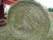 Хорошее сено в рулонах луговое пойменное